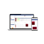 Auto búsqueda y corrección para pinturas de efectos especiales